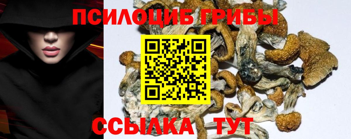 Псилоцибиновые грибы MAGIC MUSHROOMS Рузаевка