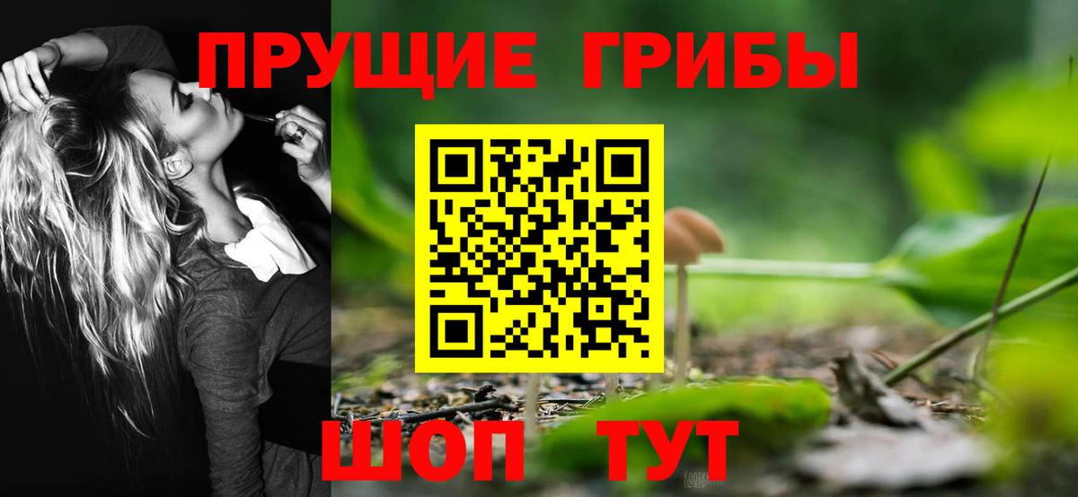 Псилоцибиновые грибы Cubensis  Вход с VPN  наркотики  Рузаевка 